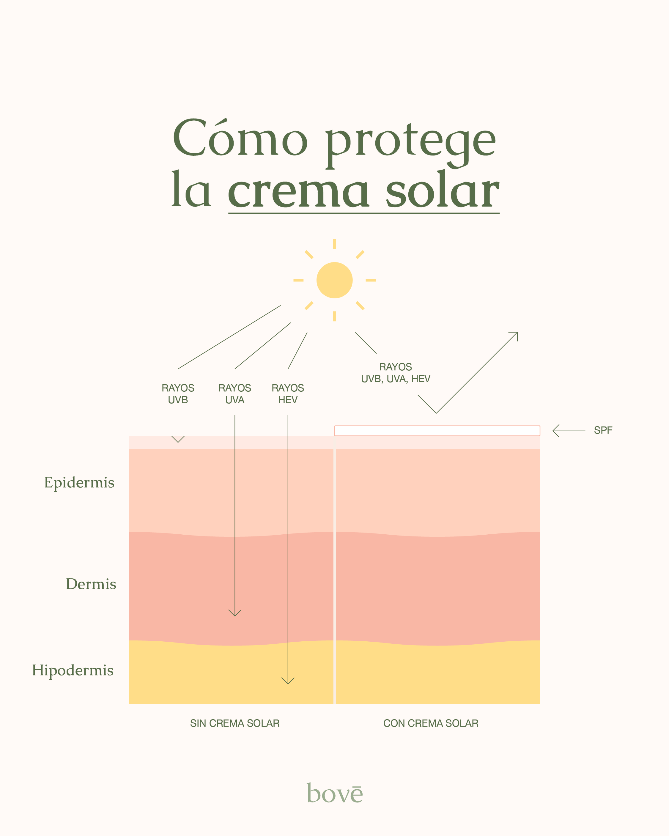 Propiedades antiinflamatorias del CBD