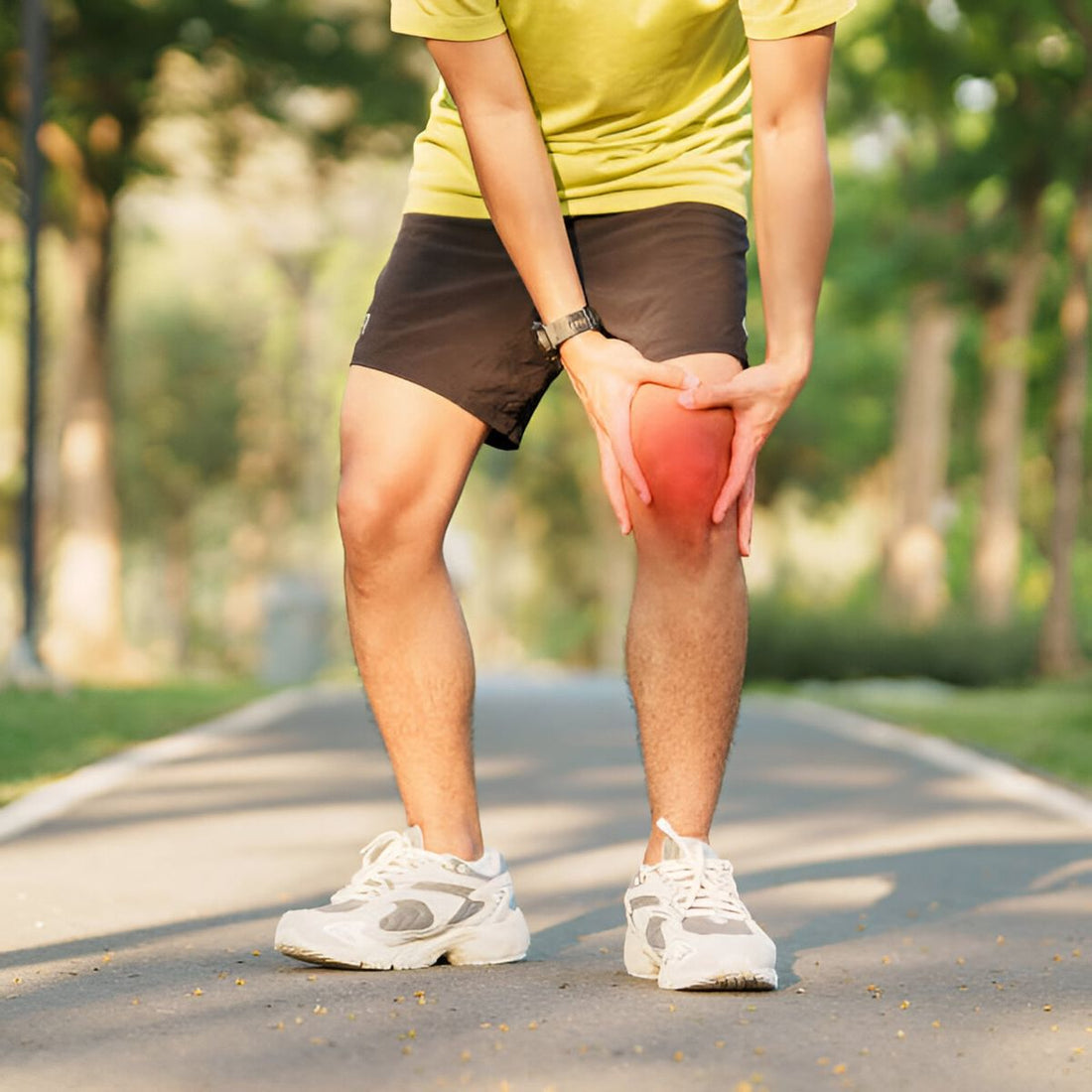 CBD y recuperación muscular: guía científica y productos Bove Health para deportistas
