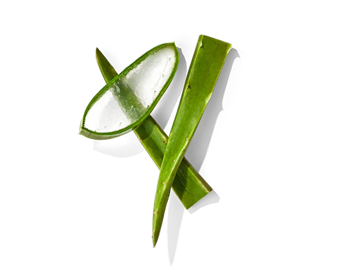 Jugo de Aloe Vera